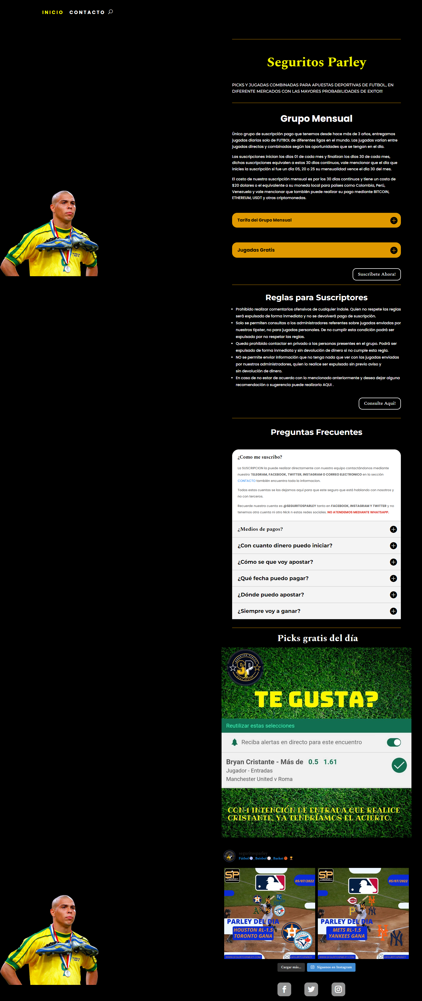 página web de Seguritos parley